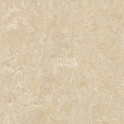 Линолеум Forbo Marmoleum Decibel on Order 249935 sand фото 1 | FLOORDEALER